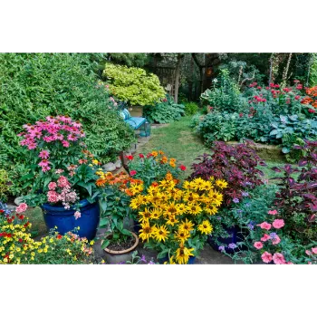 Natural Garden Flower